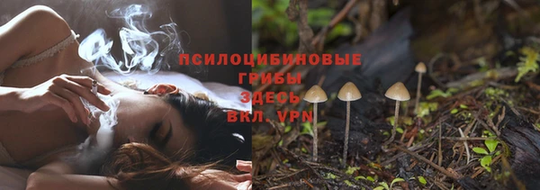 ECSTASY Алексин