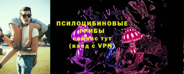 ECSTASY Алексин