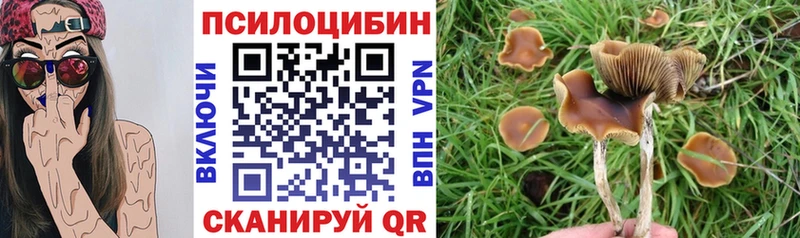 Псилоцибиновые грибы Psilocybine cubensis  Закаменск 